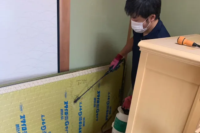 室内で害虫対策を施工する株式会社CSMのスタッフ