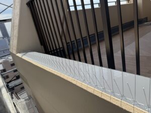 🐦【施工事例】大阪市の大型マンションで鳩よけ対策！剣山＋ネットを自社施工で対応💪✨